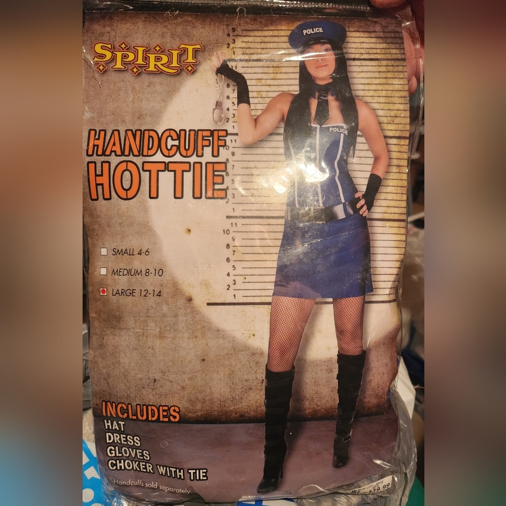 Sexy officer costume